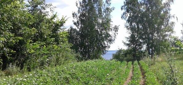 Продам участок 27 сот. ИЖС