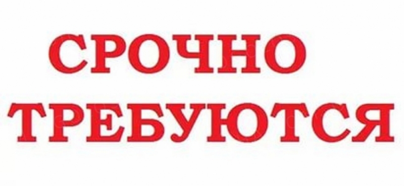 Специалист по кадрам