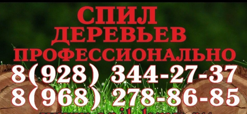 Спил деревьев профессионально