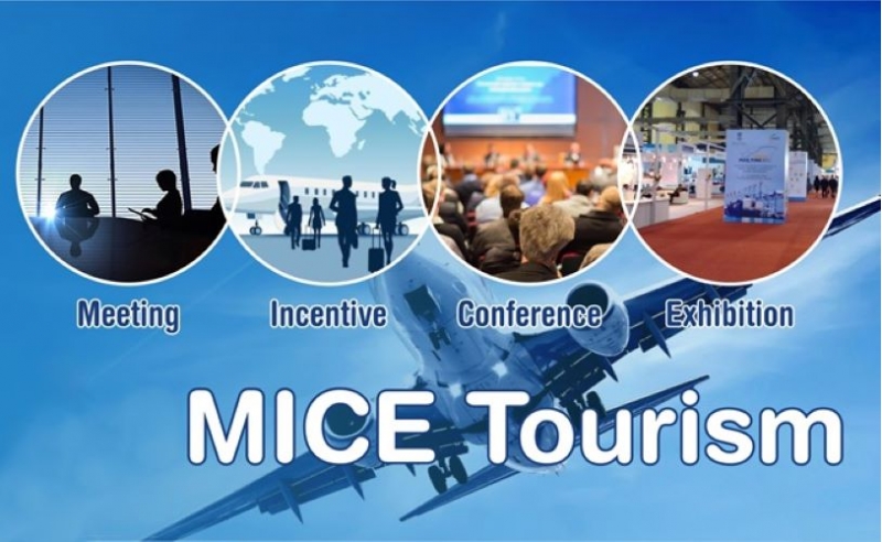      MICE      -