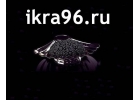 Черная Икра опт и розница, доставка по всей России