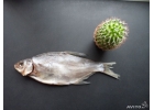 Закуски к пиву, вяленая рыба, снеки, орехи, сушёные морепродукты, сушёное мясо.