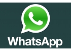 Программа для удобной Whatsapp рассылки по клиентам