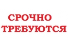 Единомышленника по бизнесу