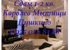 Сдается 1-я квартира в г.Ивантеевка на ул.Бережок д.7