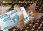 Бокс на час.