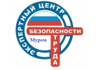 Мы обучим вас , ваших работников.И организуем безопасность труда.