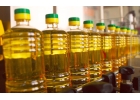 Продам подсолнечное масло оптом