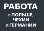 Легальная работа в Чехии