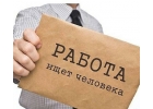 онлайн агент-промоутер