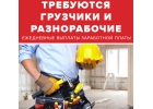 Требуюстя разнорабочие с ежедневными выплатами ЗП