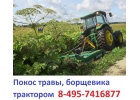 89637508470 Услуги трактора по покосу борщевика , покос бурьяна Московская область