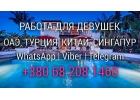 Набор девушек в елитные ночные заведения волшебного и роскошного Дубая