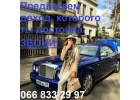 Требуются девушки в эскорт