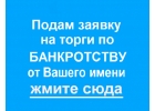 Участие в торгах в торгах по банкротству за Вас, подача заявки