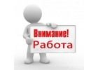 Консультант