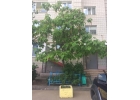 1-к квартира, 58 м2, 910 эт.