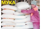 Мука оптом в ассортименте