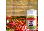 Капсулы С сухим экстрактом красного мухомора